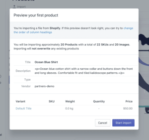 Big_Internet_Ecommerce_Shopify_Services