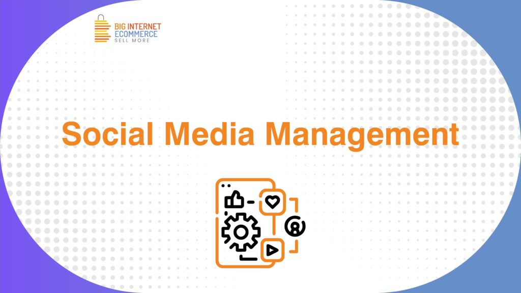 Big_Internet_Ecommerce_Social_Media_Management