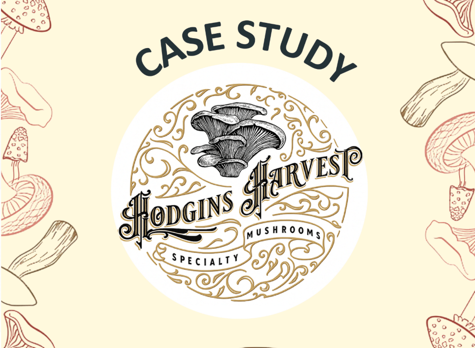 Case Study 2