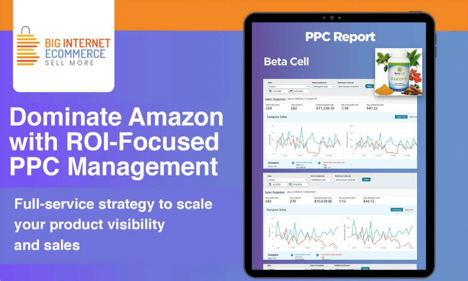 PPC Report Preview